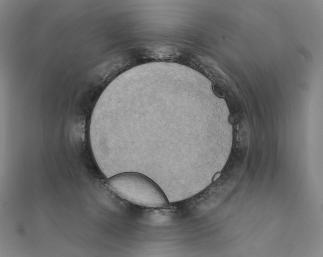 X0000111150368200907281137