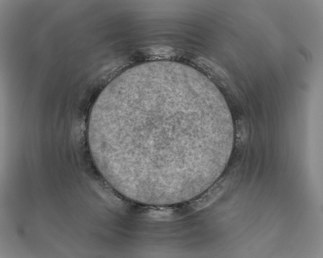 X0000111150369200907281137