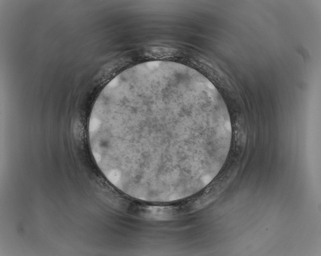 X0000111150371200907281137