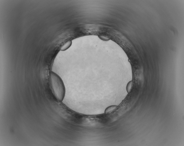 X0000111150372200907281137