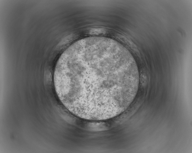 X0000111150375200907281137