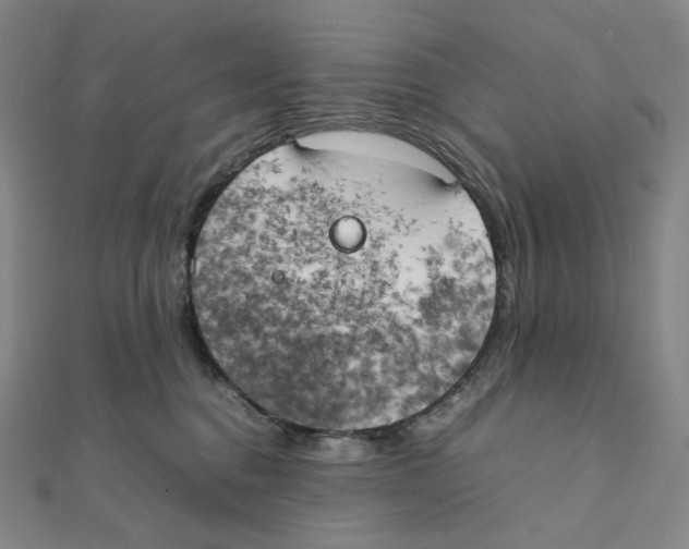 X0000111150376200907281137