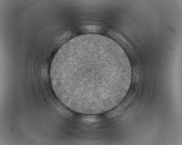 X0000111150377200907281137