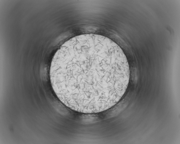 X0000111150378200907281137