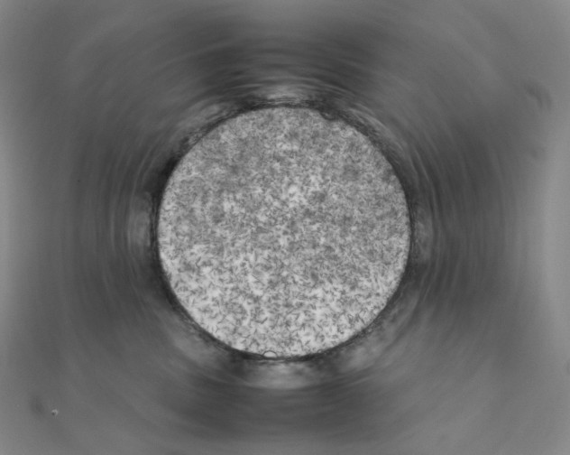 X0000111150379200907281137