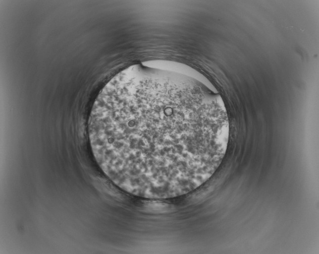 X0000111150380200907281137