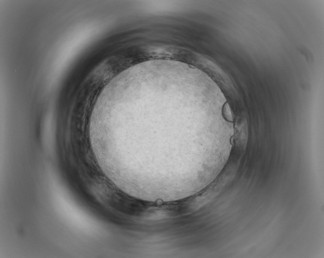 X0000111150381200907281137