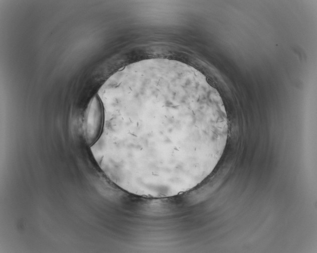 X0000111150382200907281137