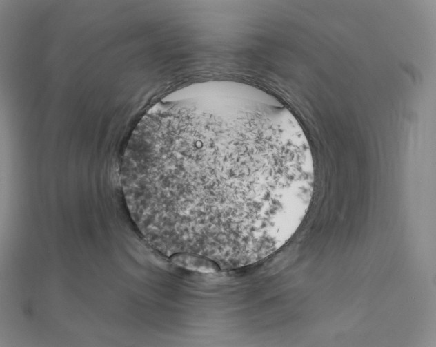 X0000111150384200907281137