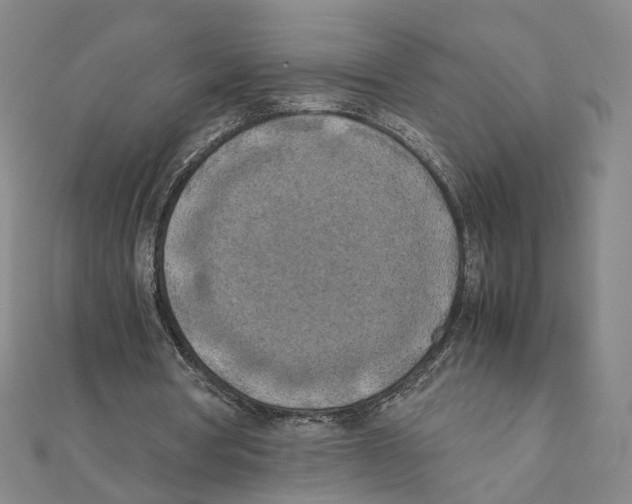 X0000111150386200907281137