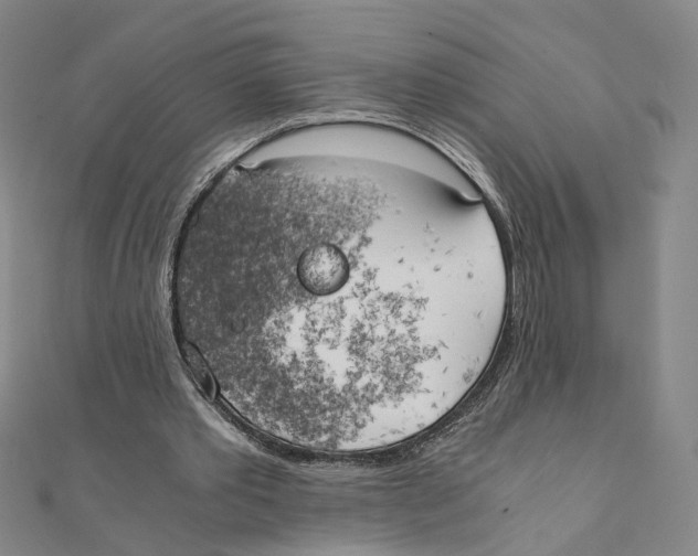 X0000111150389200907281137