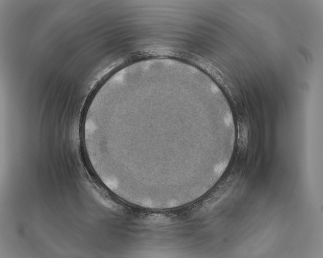 X0000111150390200907281137