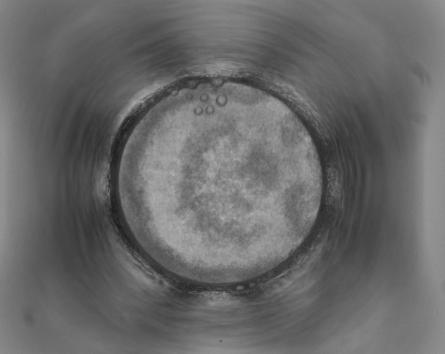 X0000111150392200907281137