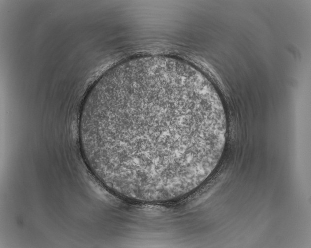 X0000111150393200907281137