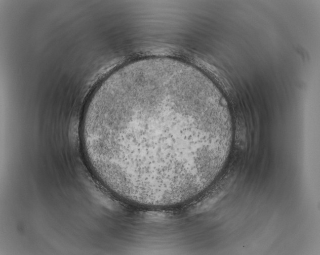 X0000111150394200907281137