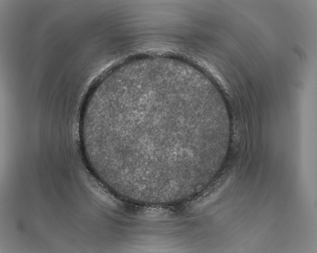 X0000111150399200907281137