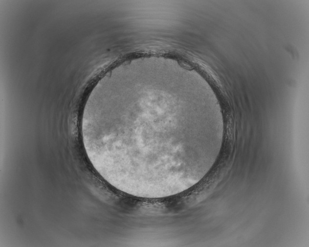 X0000111150403200907281136