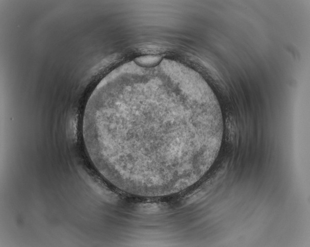 X0000111150404200907281136