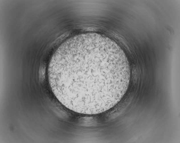 X0000111150406200907281136