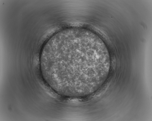 X0000111150407200907281136