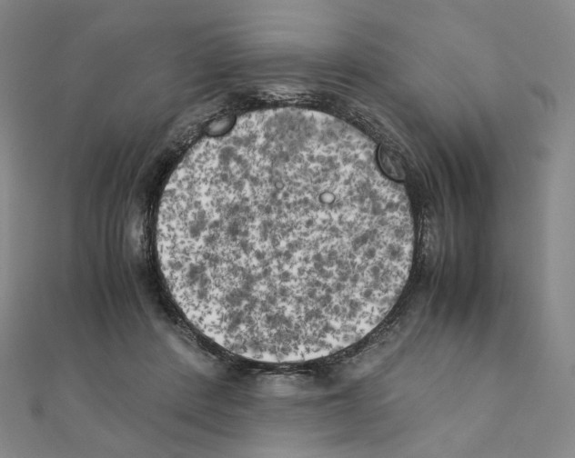 X0000111150408200907281136