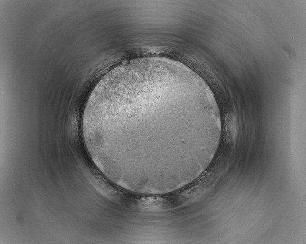 X0000111150410200907281136