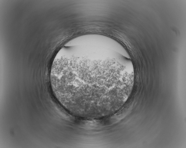 X0000111150411200907281136