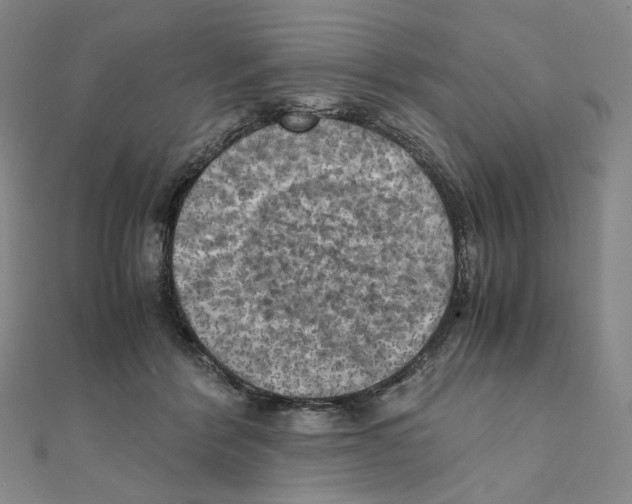 X0000111150412200907281136