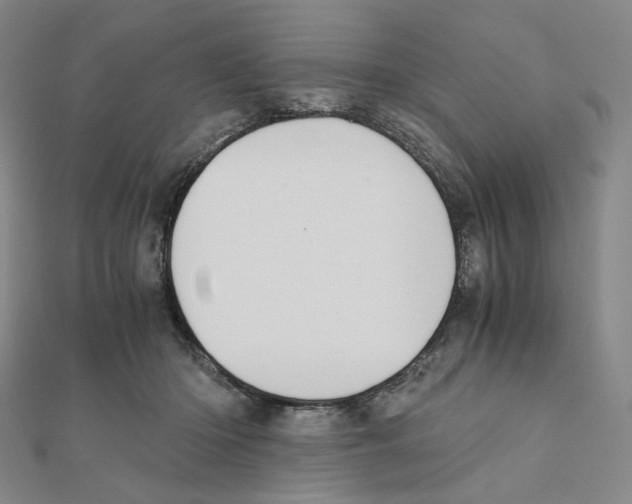 X0000111150414200907281136