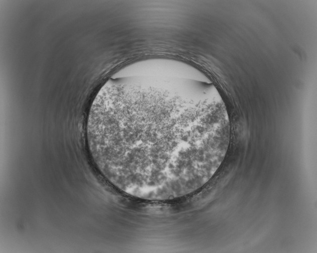 X0000111150415200907281136