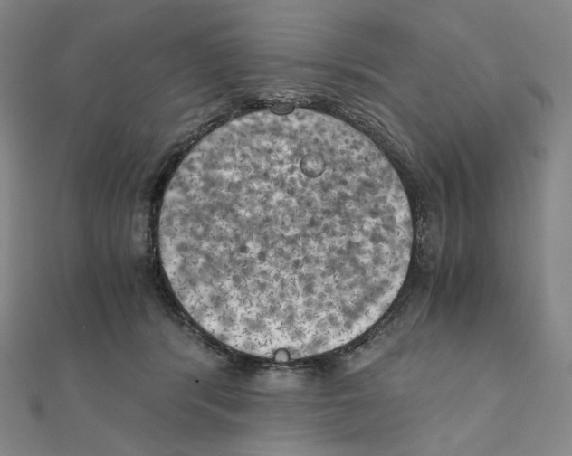 X0000111150416200907281136