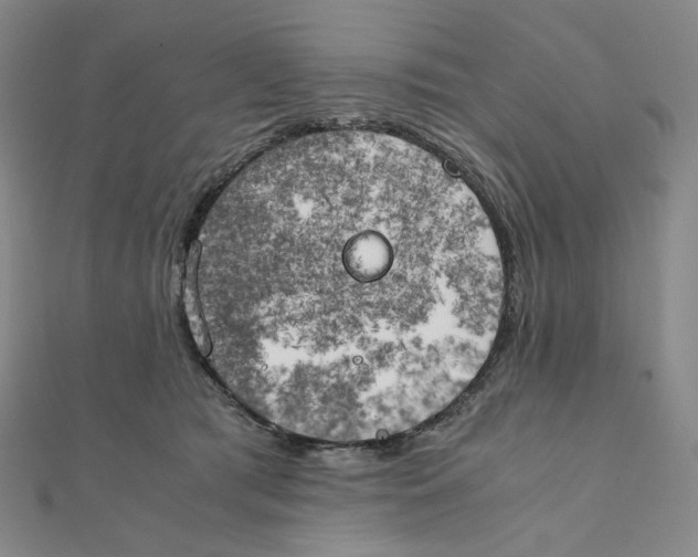 X0000111150417200907281136