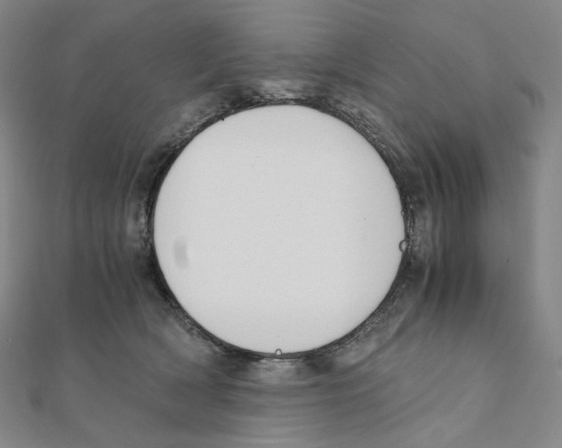 X0000111150418200907281136