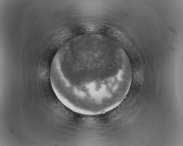 X0000111150419200907281136