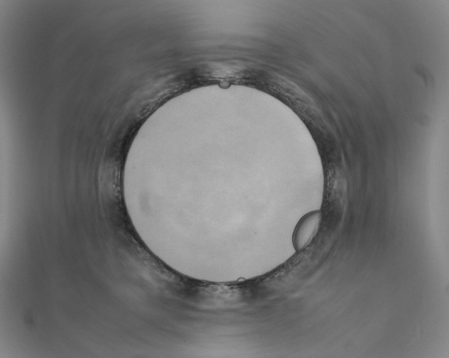 X0000111150421200907281136