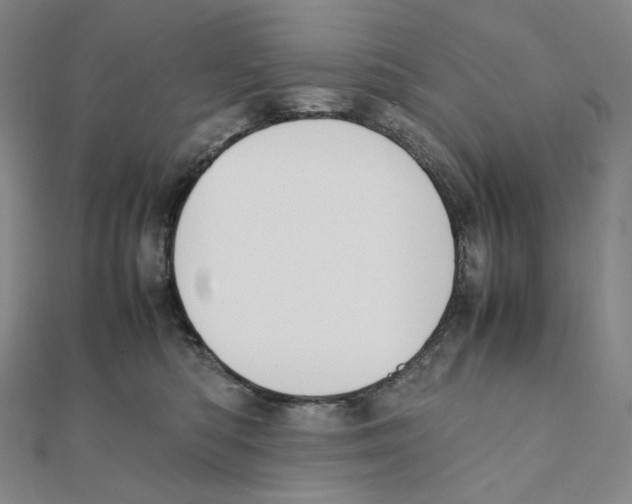 X0000111150422200907281136