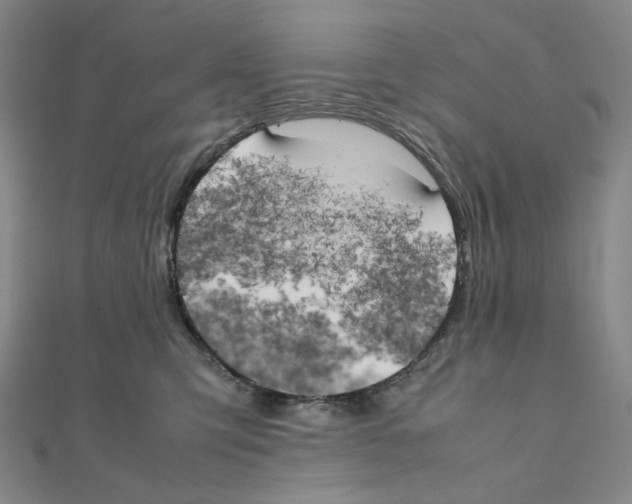 X0000111150423200907281136