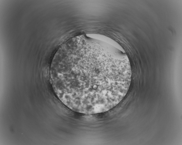 X0000111150425200907281136