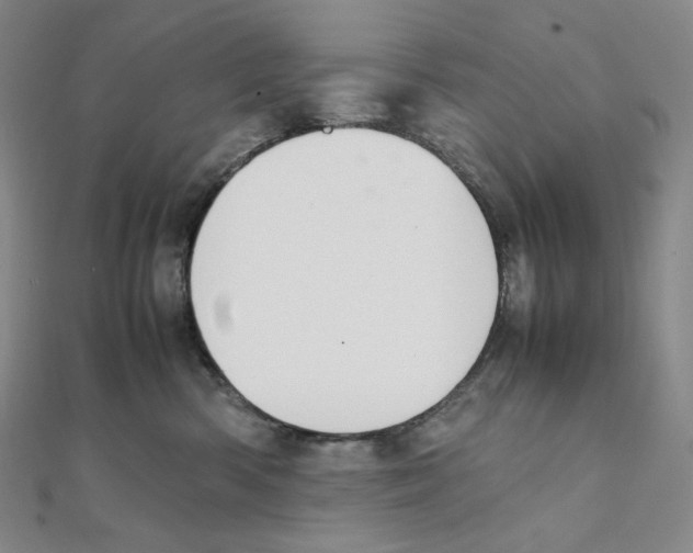 X0000111150426200907281136