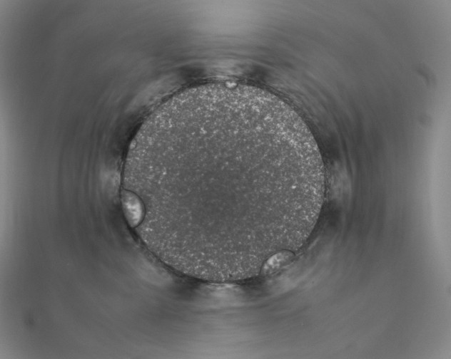 X0000111150427200907281136