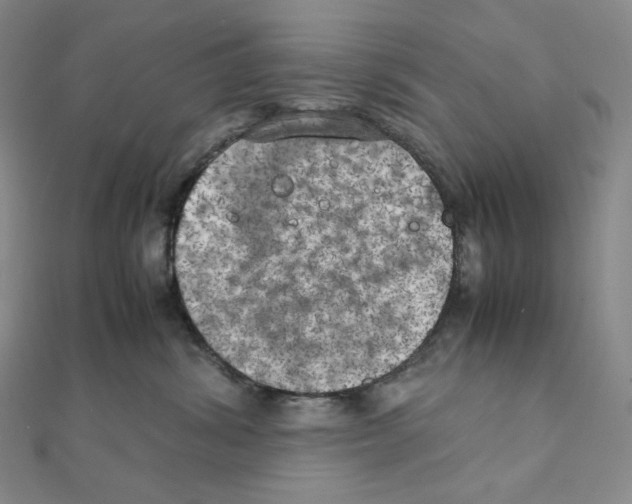 X0000111150428200907281136