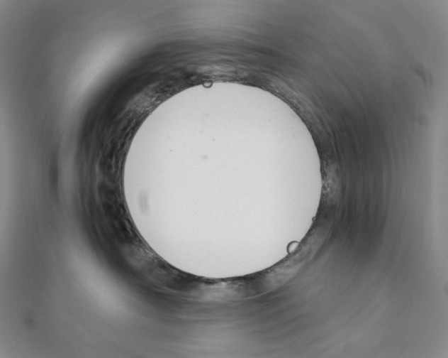 X0000111150430200907281136