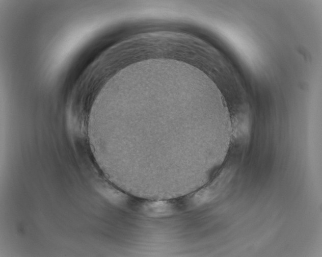 X0000111150431200907281136