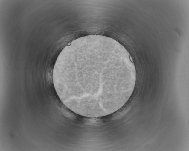 X0000111150432200907281136