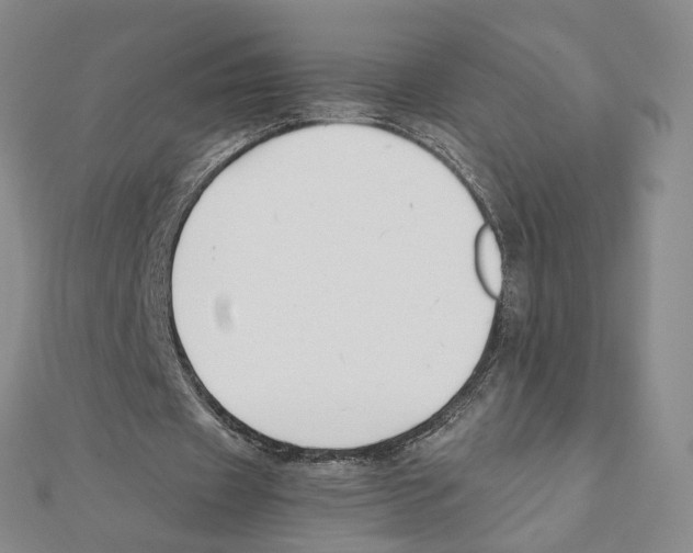 X0000111150433200907281135