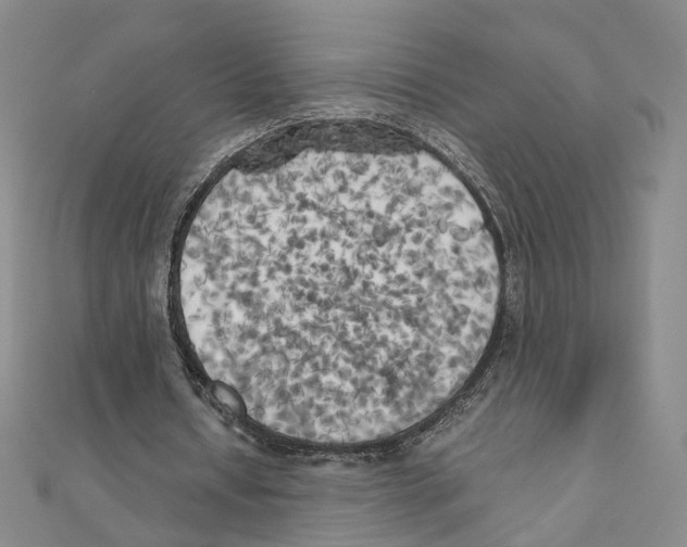 X0000111150434200907281135