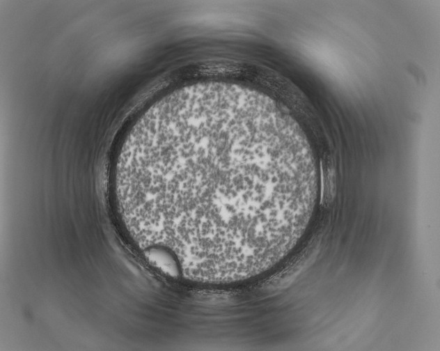 X0000111150435200907281135