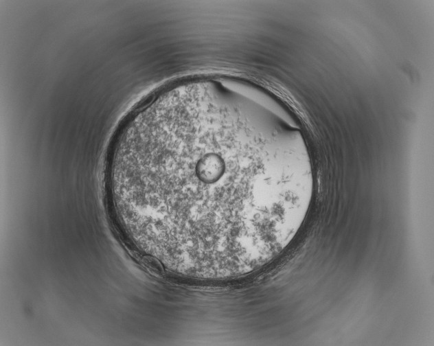 X0000111150436200907281136