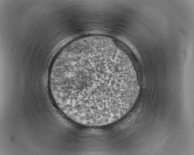 X0000111150437200907281136