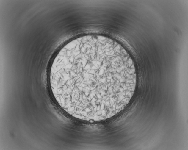 X0000111150439200907281136